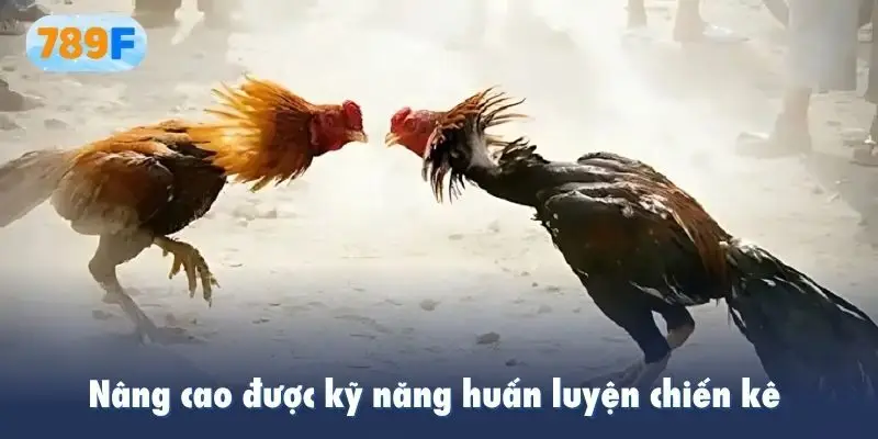 Nâng cao được kỹ năng huấn luyện chiến kê